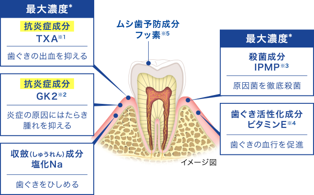 イメージ図