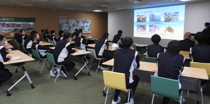 6月のウミガメ活動紹介ビデオ上映会