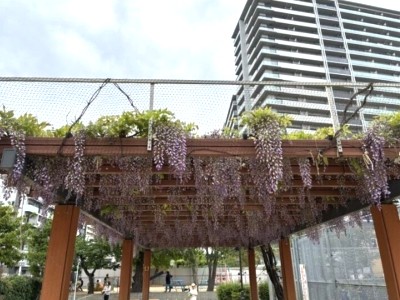 海老江東公園