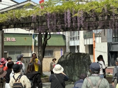 大開公園　藤棚