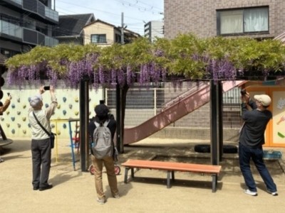 ひばり保育園（園庭特別解放時）
